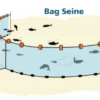 Diagram of bag seine