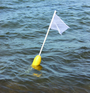 buoy flag in water