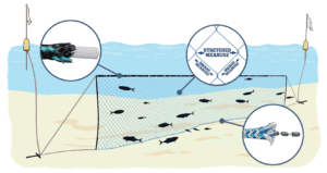 Gill Net Diagram