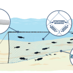 Gill Net Diagram