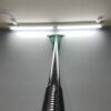 Electrofishing Dip Nets
