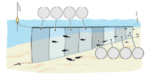 Experimental Gill Net Diagram