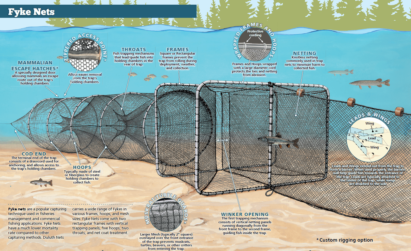 Mini Fyke Net - Fishing Nets - Duluth Fish Nets, An H. Christiansen  Co.Duluth Fish Nets