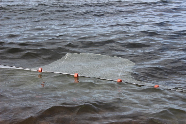 Smelt Seine - Great Lakes Smelt - Duluth Fish Nets An H. Christiansen  Co.Duluth Fish Nets