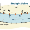 Diagram of staight seine