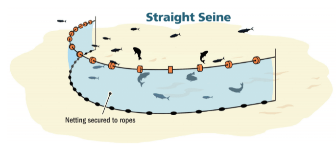 6' Deep Seines - Fishing NetsDuluth Fish Nets