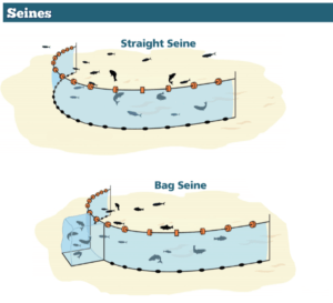 Diagram showing straight and bag seine